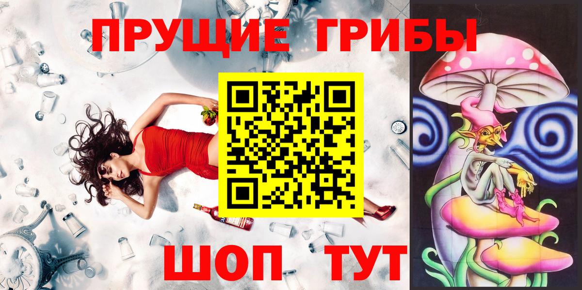 Галлюциногенные грибы Psilocybe Елец