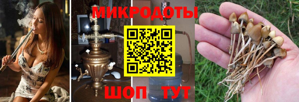 Елец  Галлюциногенные грибы Cubensis  Вход с VPN 